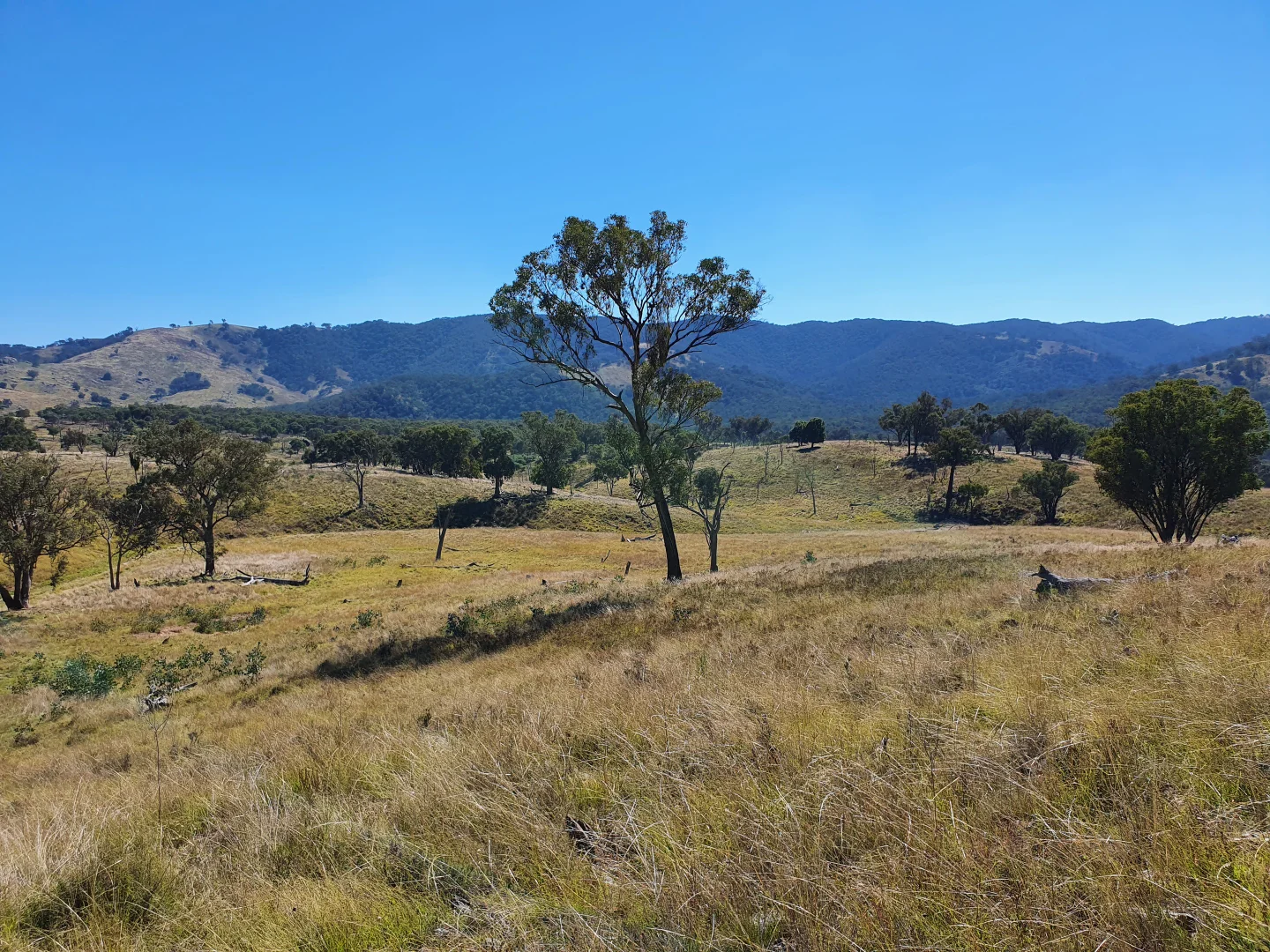 Additional image 7 of 210 Burns Road, Ullamalla, Mudgee NSW 2850