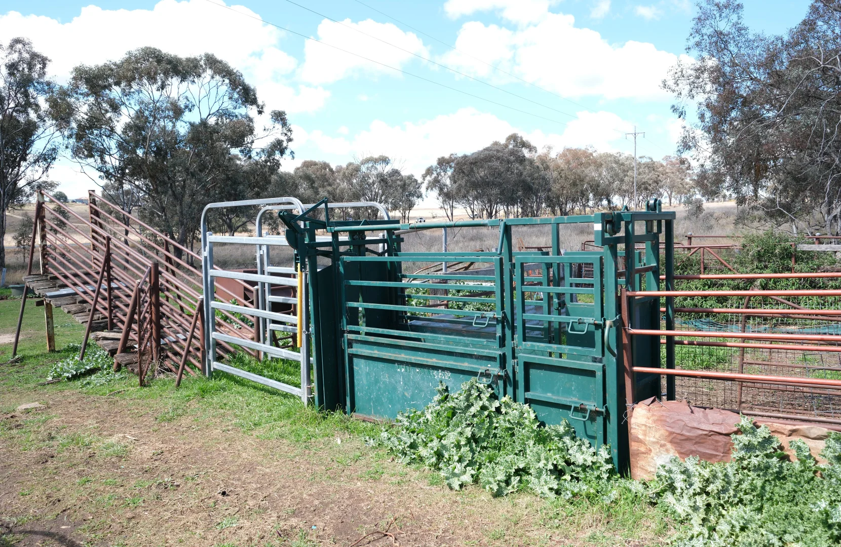 Additional image 9 of 154 Delungra Bypass Road, Inverell NSW 2360