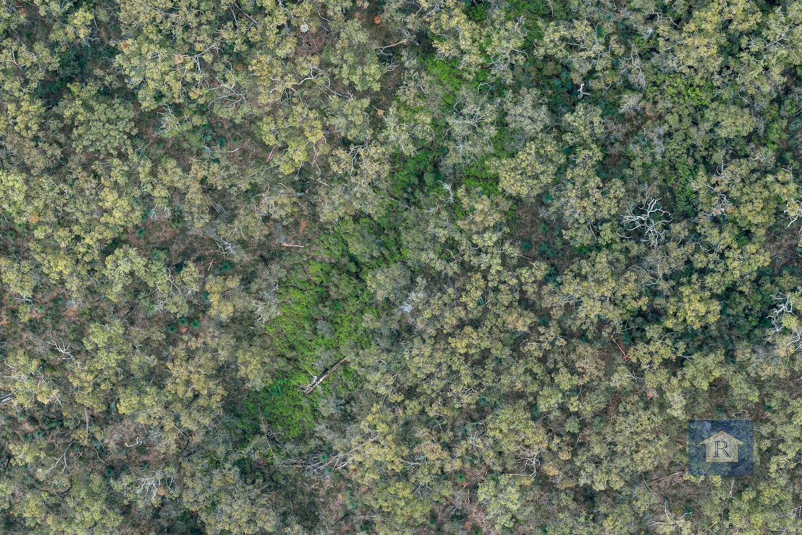 Additional image 11 of 845 Pipeline Road, Carlisle River VIC 3239