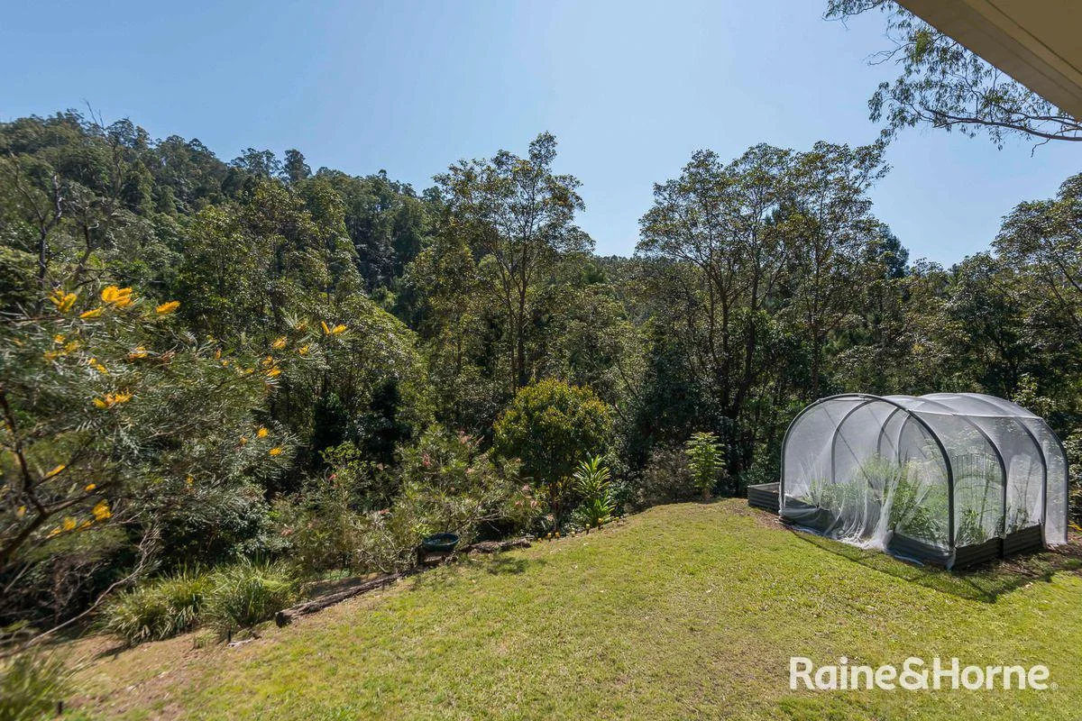Additional image 14 of 7/321 Blackhorse Road, Eden Creek via, Kyogle NSW 2474