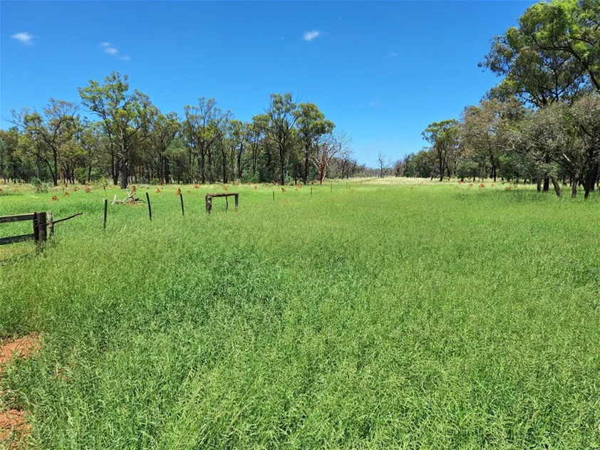 Additional image 3 of 6743 Dunrobin Road, Jericho QLD 4728