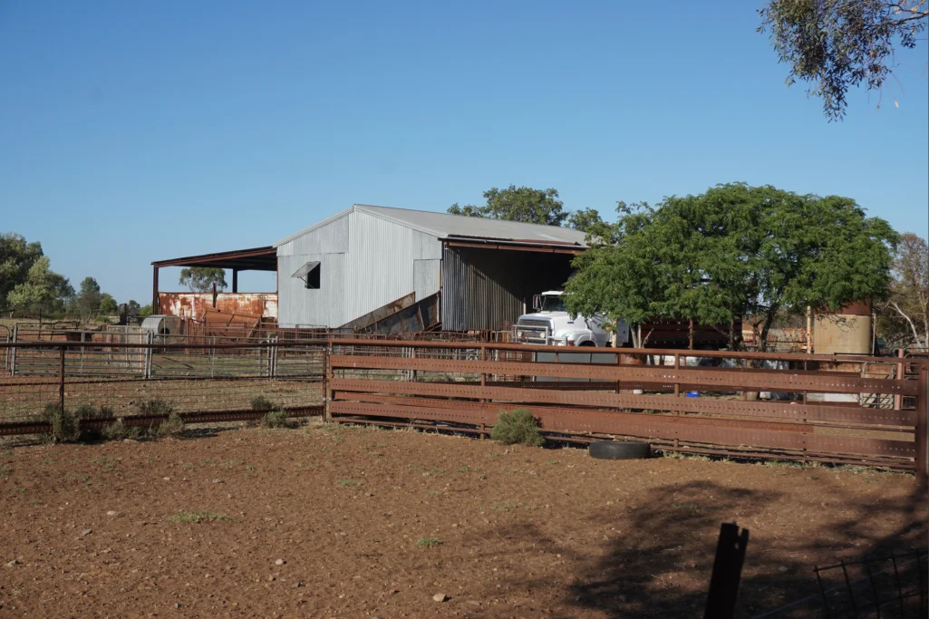 Additional image 10 of 603 Charcoal Tank Road, West Wyalong NSW 2671