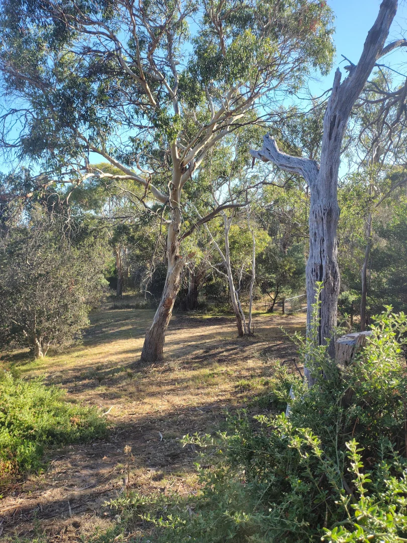 Additional image 2 of 12-14 Church street, Dodges Ferry TAS 7173