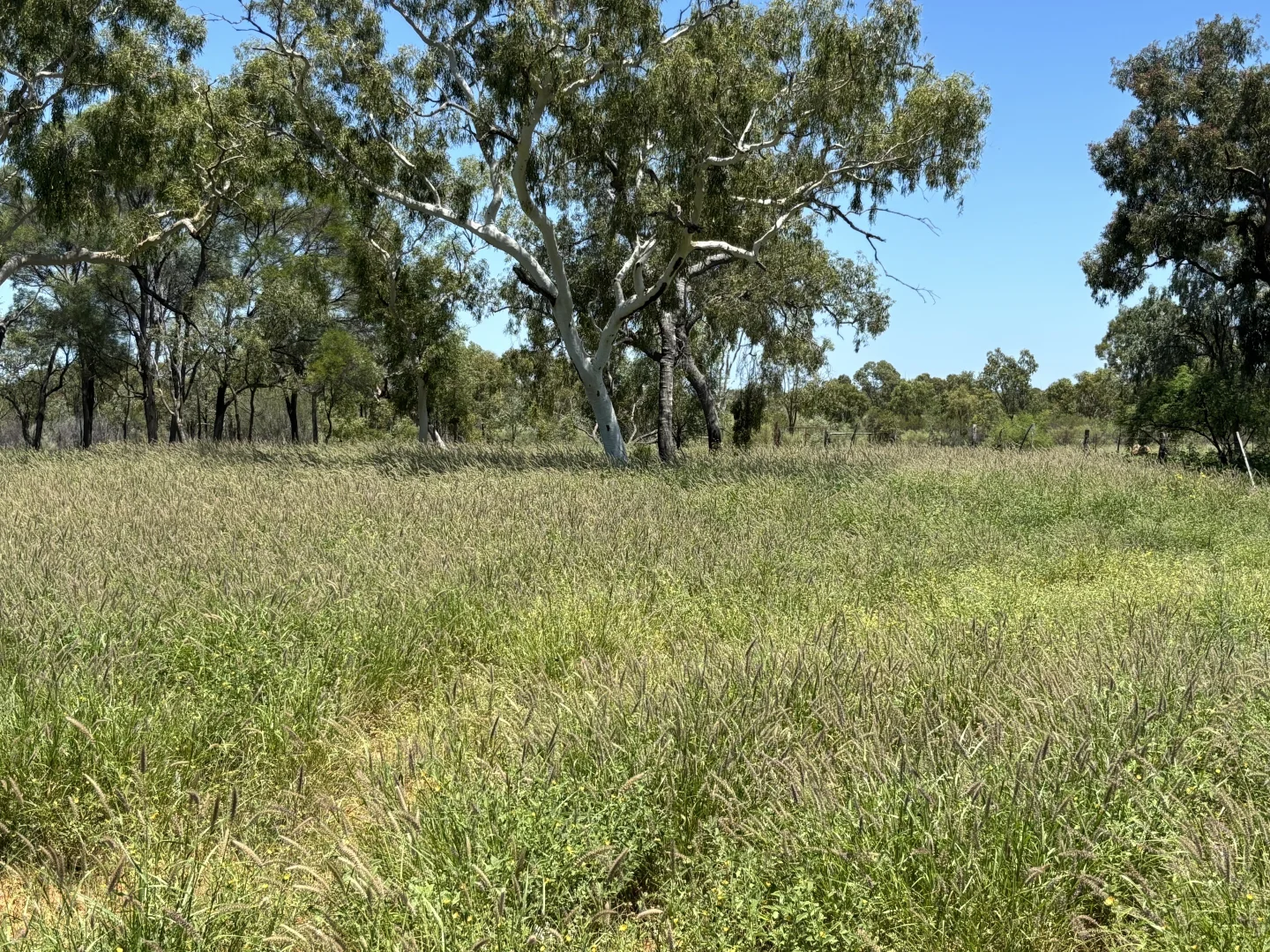 Additional image 12 of Lot 12 Capricorn Highway, Jericho QLD 4728