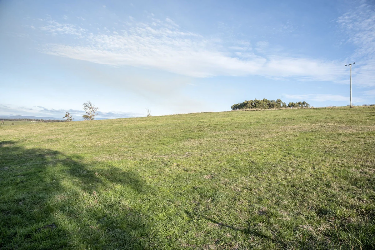 Additional image 13 of 1921 Bridport Road, Bridport TAS 7262