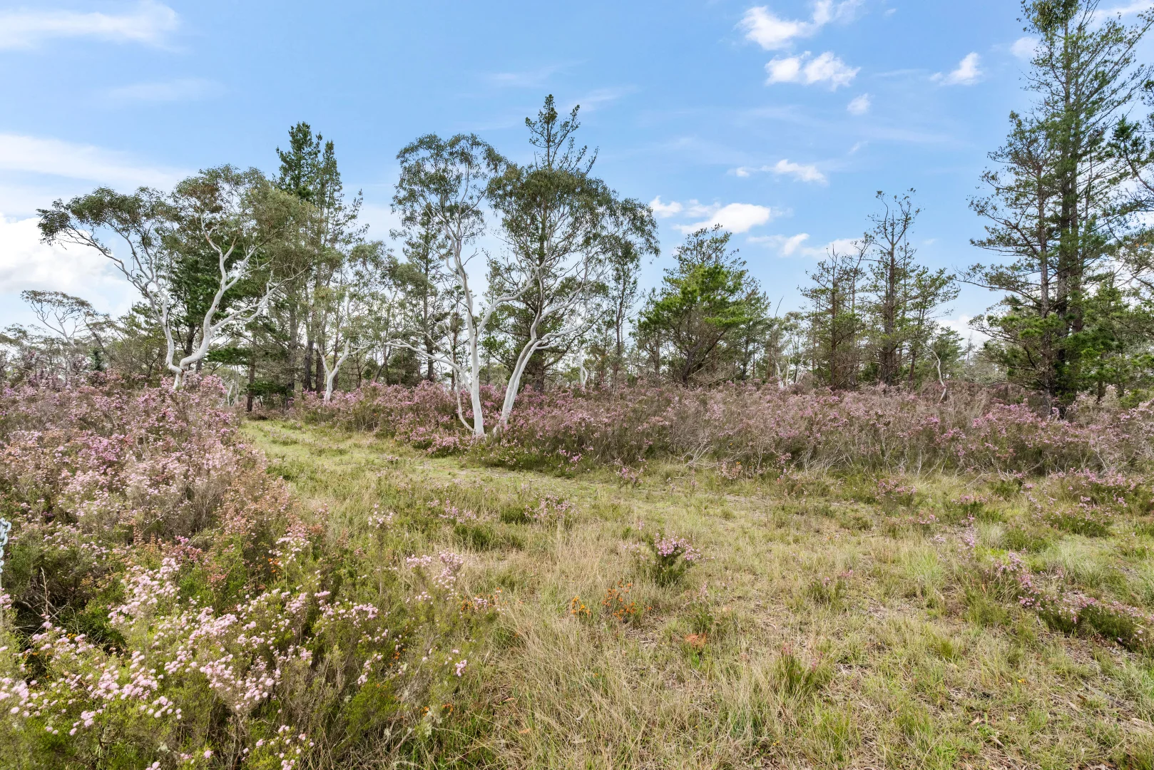 Additional image 24 of 86 Gilberts Lane, Braidwood NSW 2622