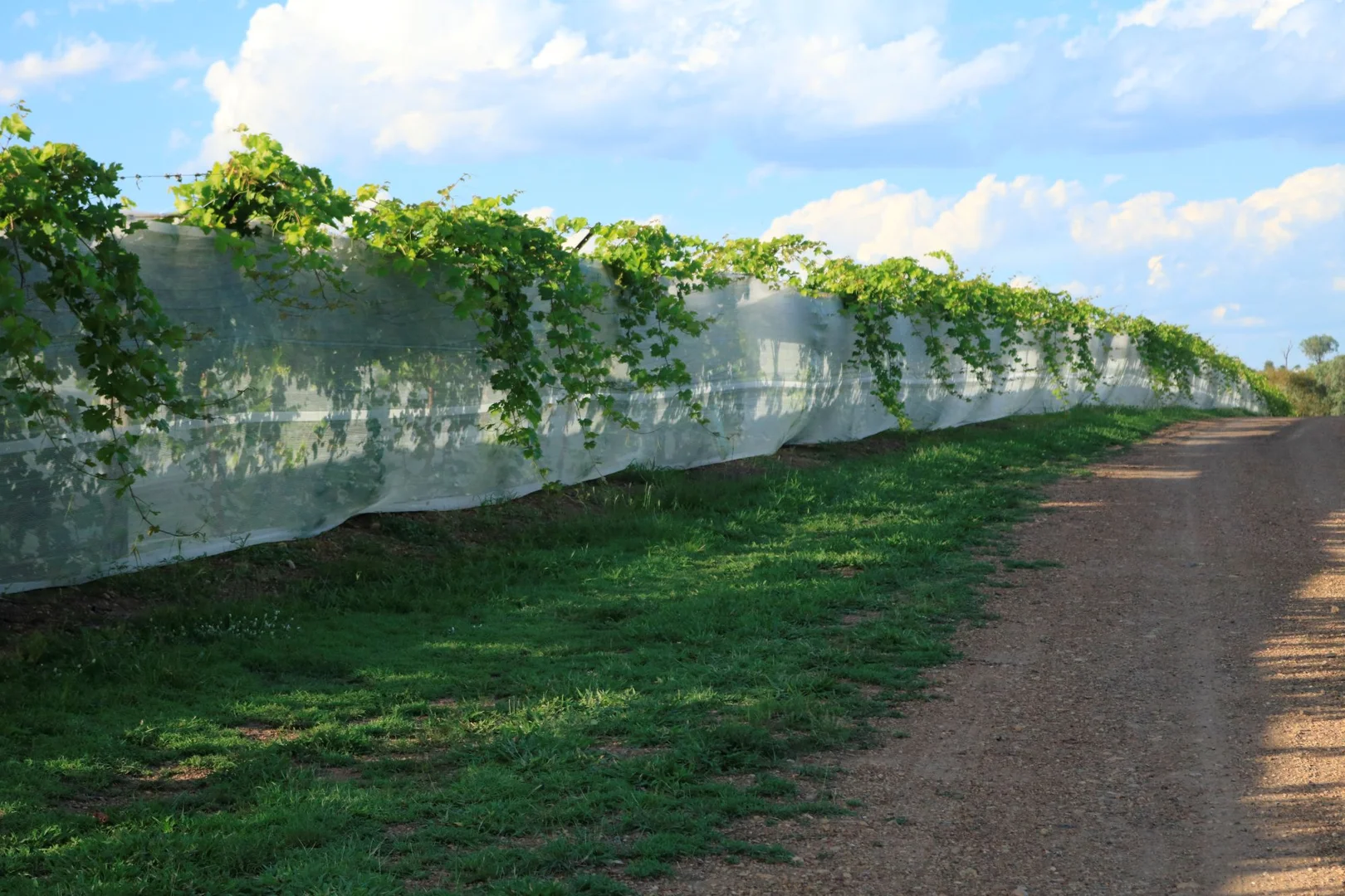 Additional image 2 of 700 Coonambula Road,, Riverleigh QLD 4626