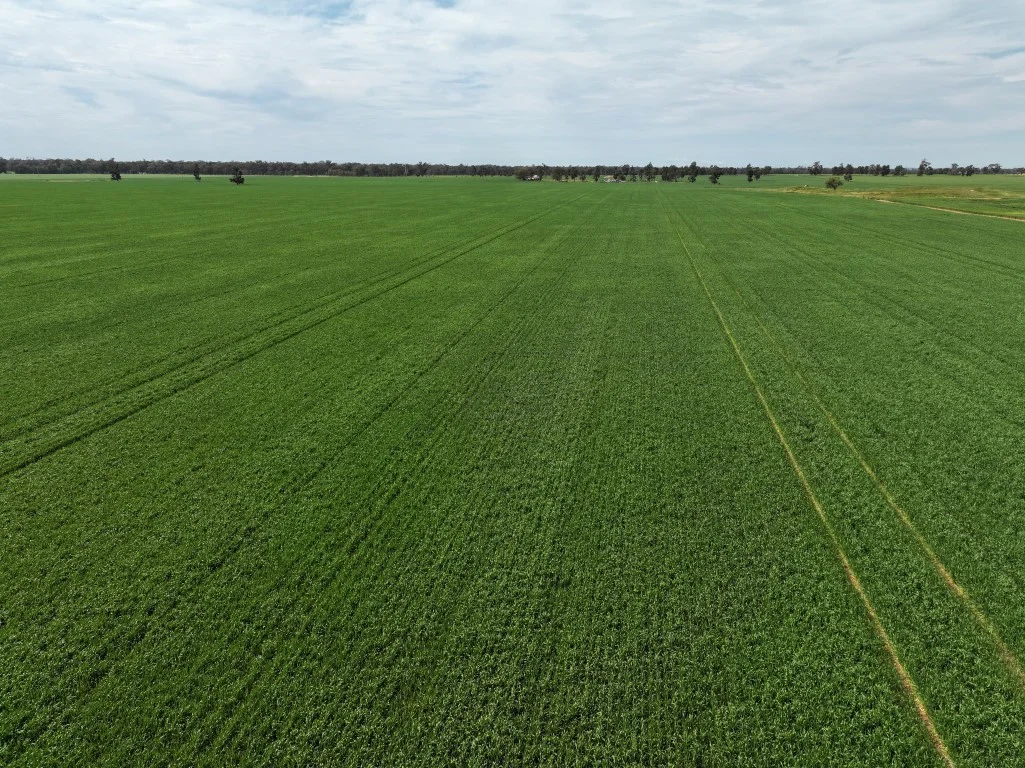 Additional image 12 of 849 Brushwood North Rd, Coolamon NSW 2701