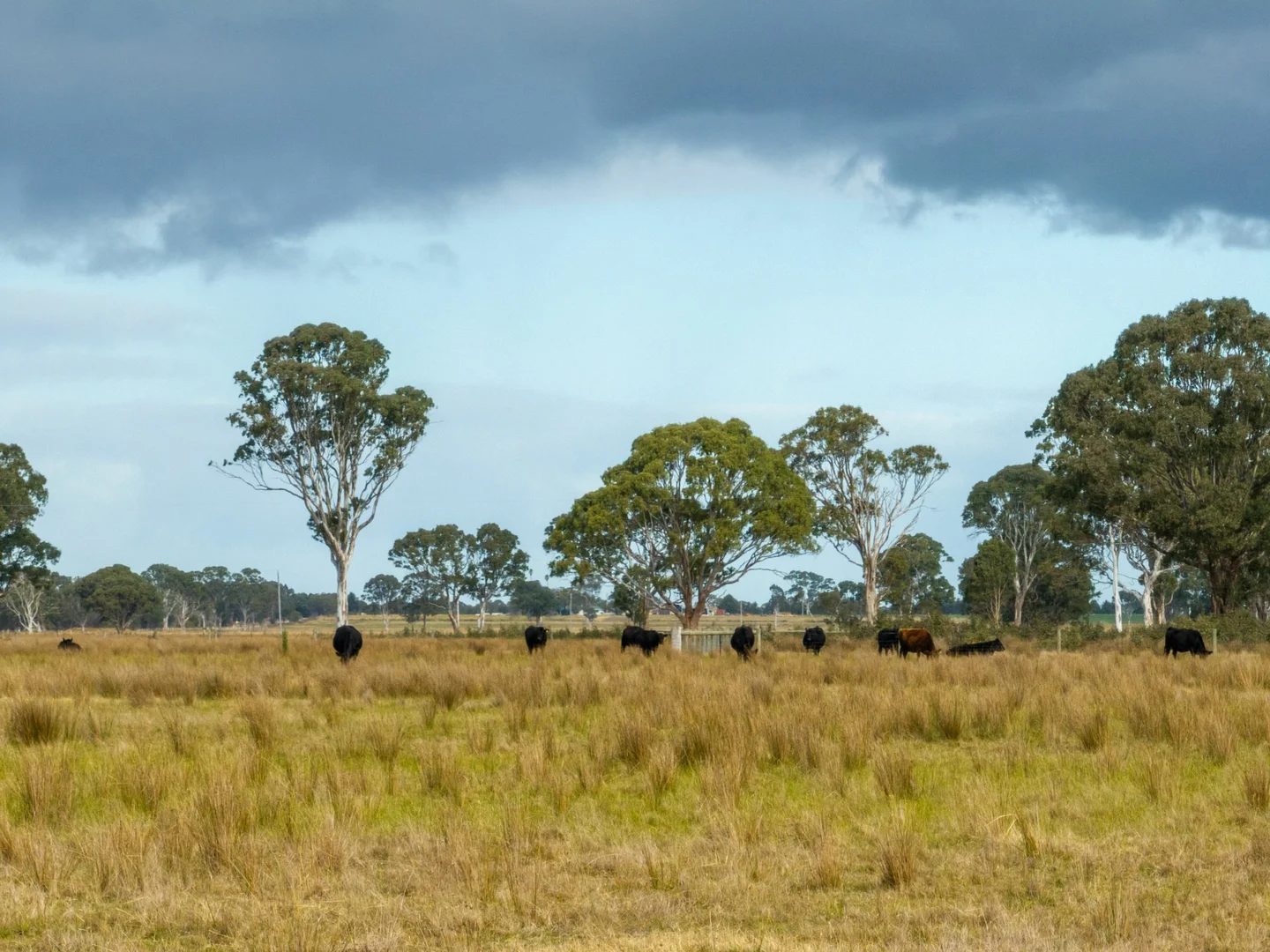 Additional image 16 of Lot 1/488 Bengworden Road, Bairnsdale VIC 3875