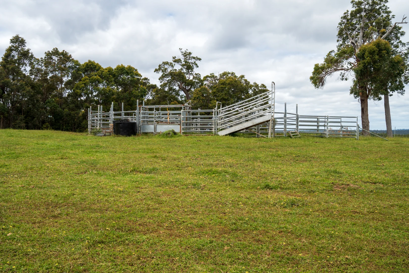 Additional image 5 of Lot 4 Kammann Road (Upper Warren), Manjimup WA 6258