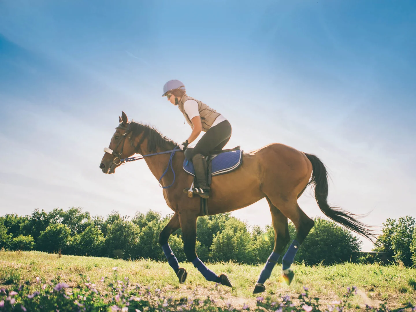 Additional image 7 of Lot 1030, Lucca Way, Hidden Valley VIC 3756