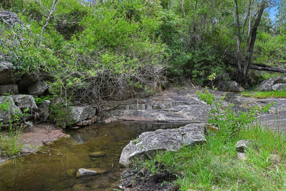 Additional image 28 of Lot 2/220 Wild Deer Drive, Taromeo QLD 4314