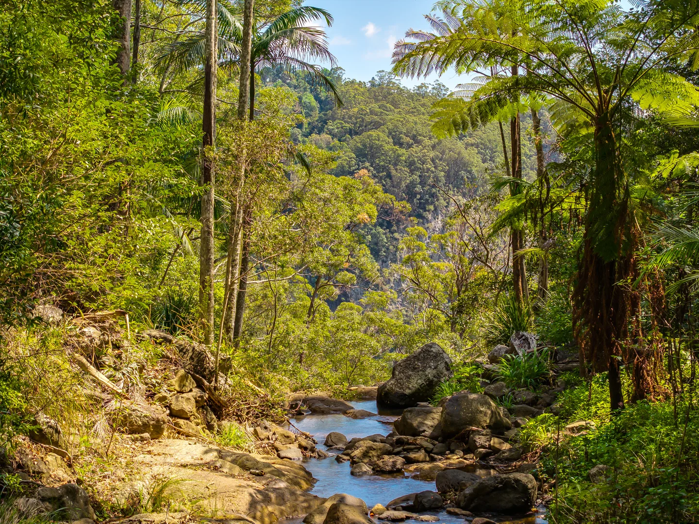 Additional image 31 of 195-275 Kaiser Road, Tamborine Mountain QLD 4272