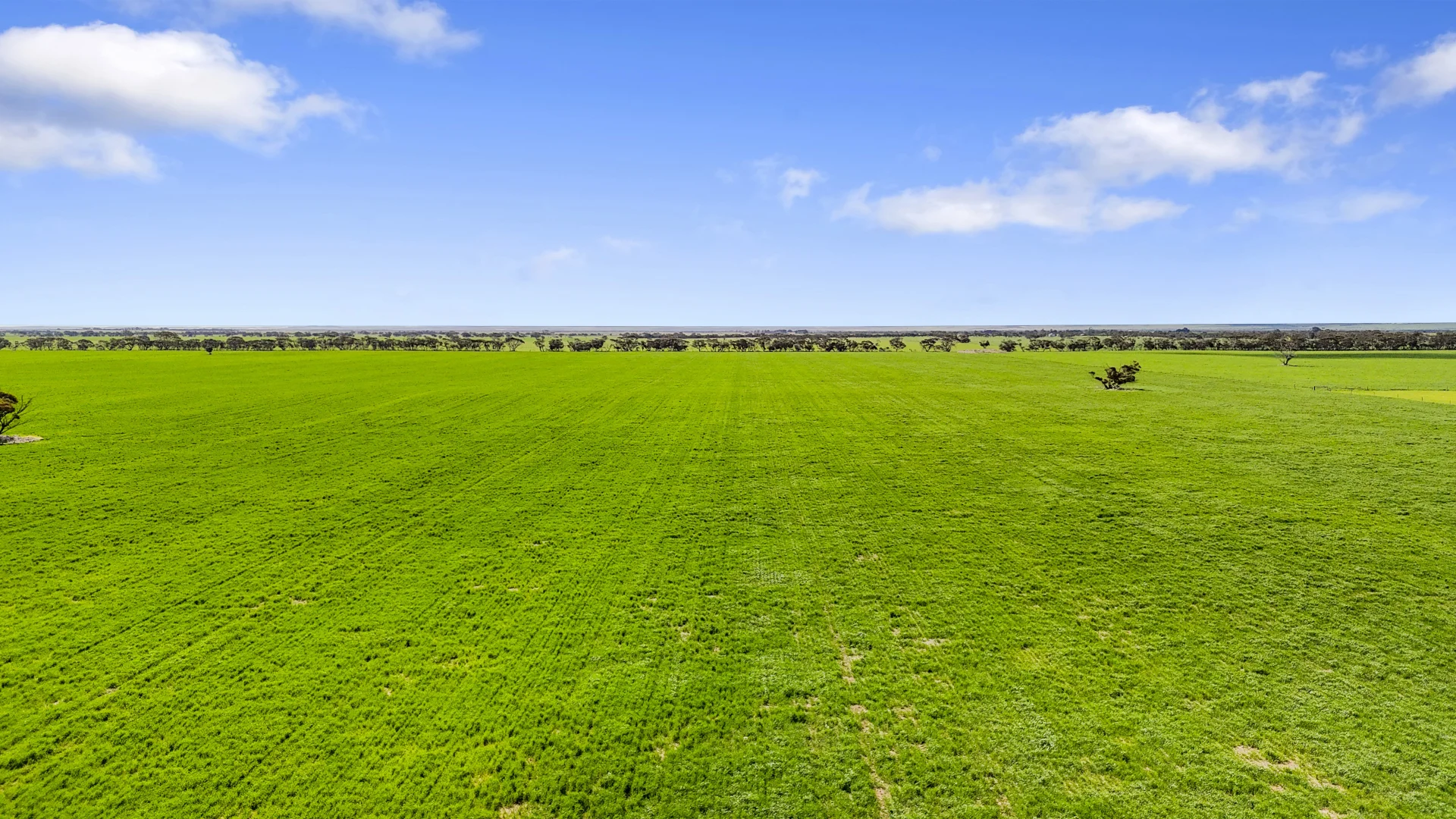 Additional image 8 of 378 Jones Road, Yumali SA 5261