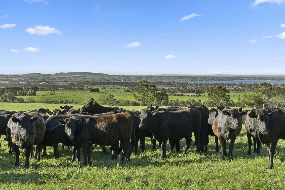 Additional image 9 of Christies Road, Elliminyt VIC 3250