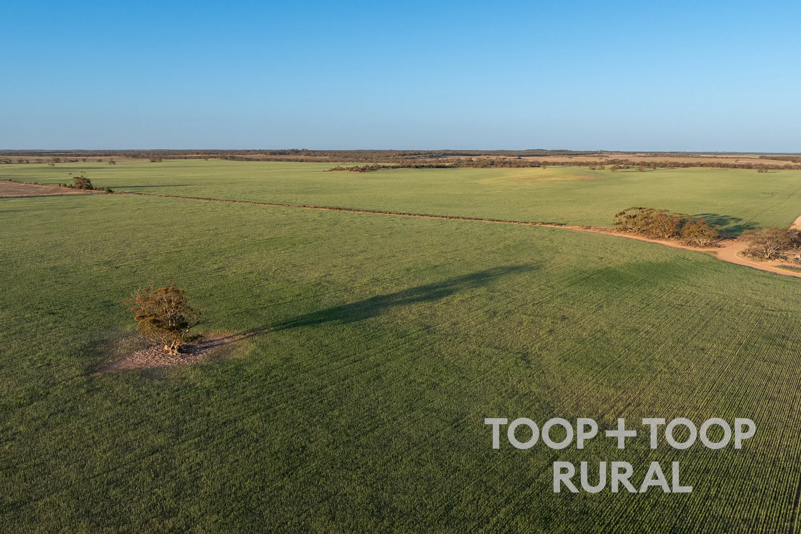 Additional image 17 of 499 Murbko Road, Murbko SA 5320