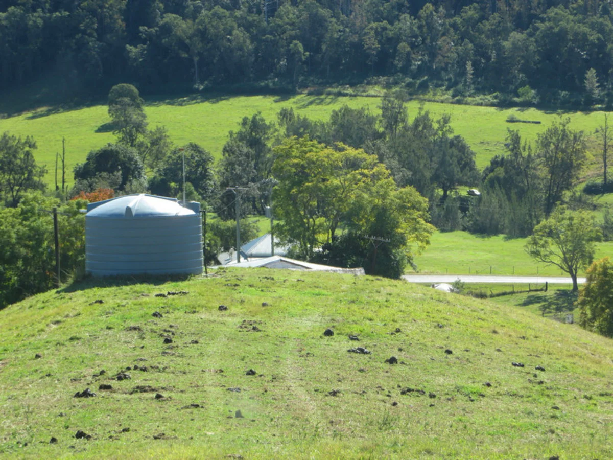 Additional image 23 of 602 Gradys Creek Road, Kyogle NSW 2474