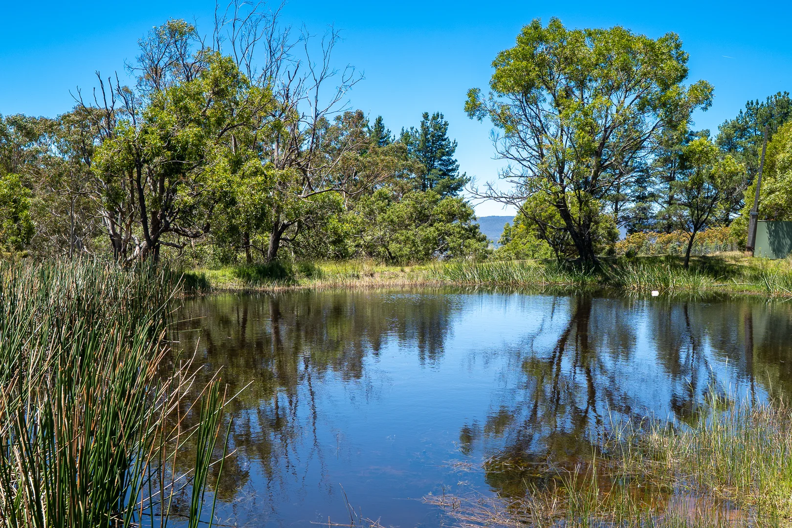 Additional image 31 of 84 Marsden Swamp Road, Ganbenang NSW 2790