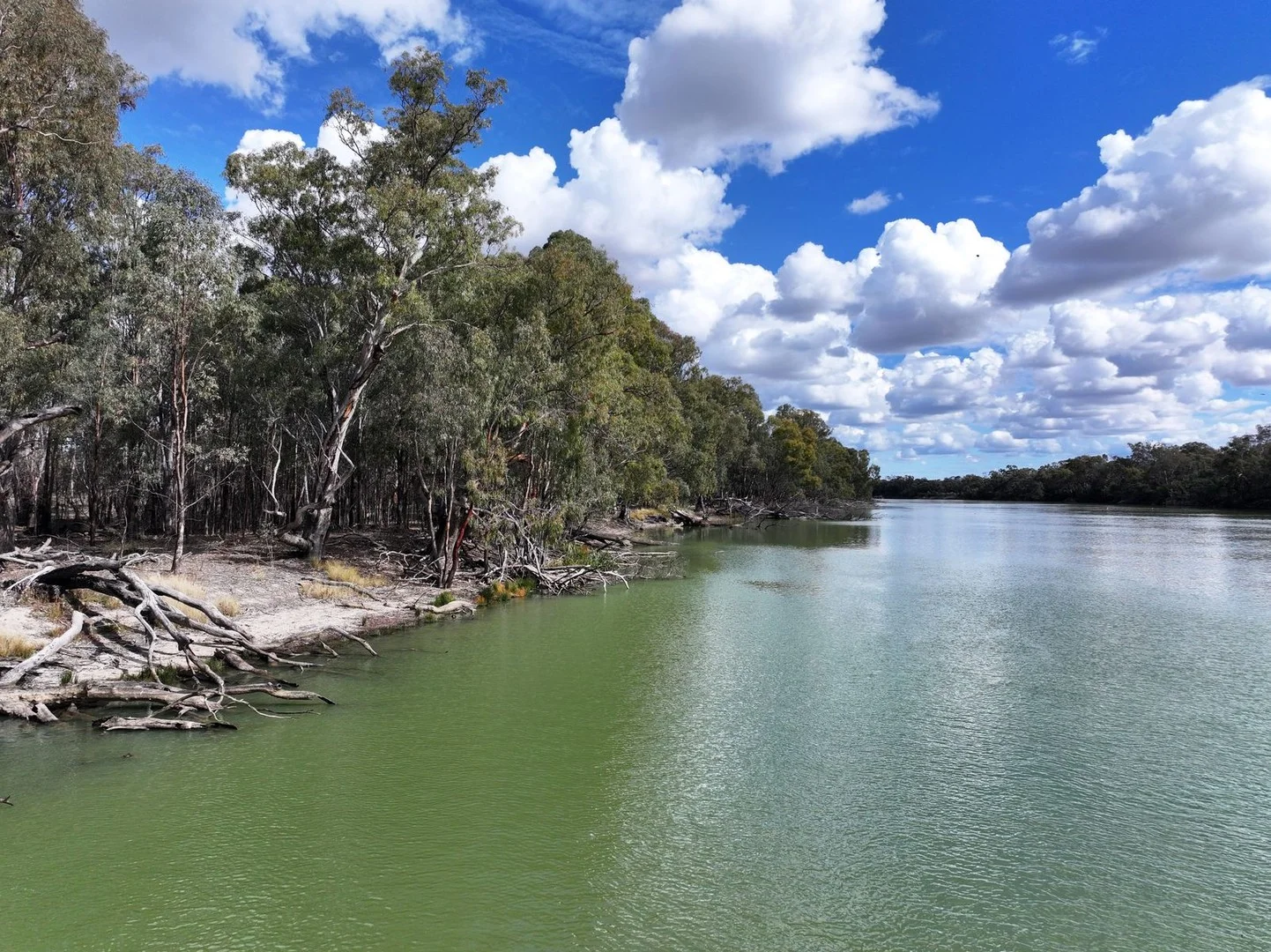 Additional image 4 of Box's Island Via Renmark Road, Wentworth NSW 2648