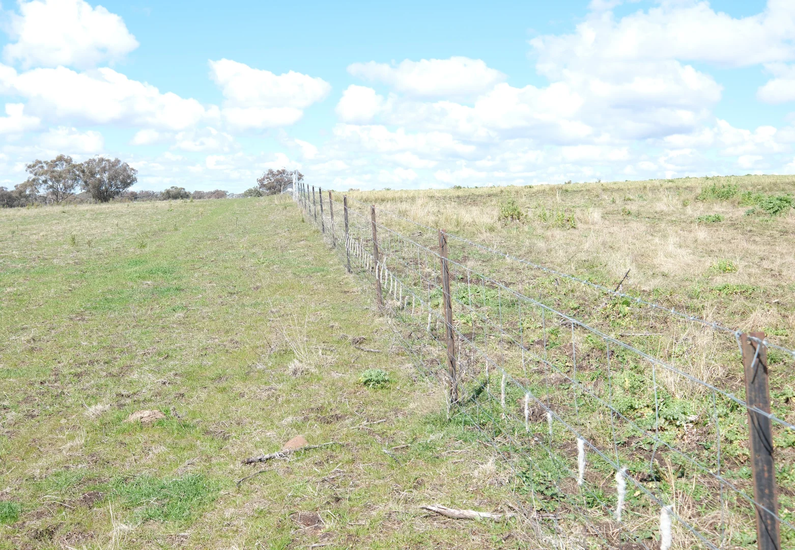 Additional image 7 of 154 Delungra Bypass Road, Inverell NSW 2360