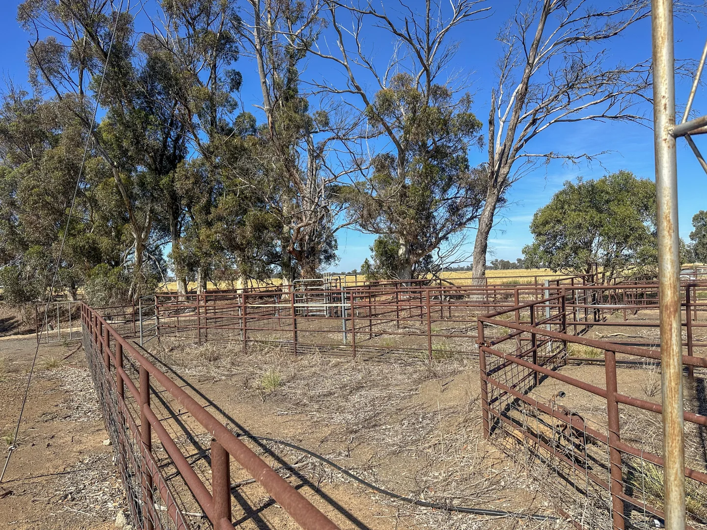 Additional image 7 of 50 Marionvale Road, Marionvale VIC 3634