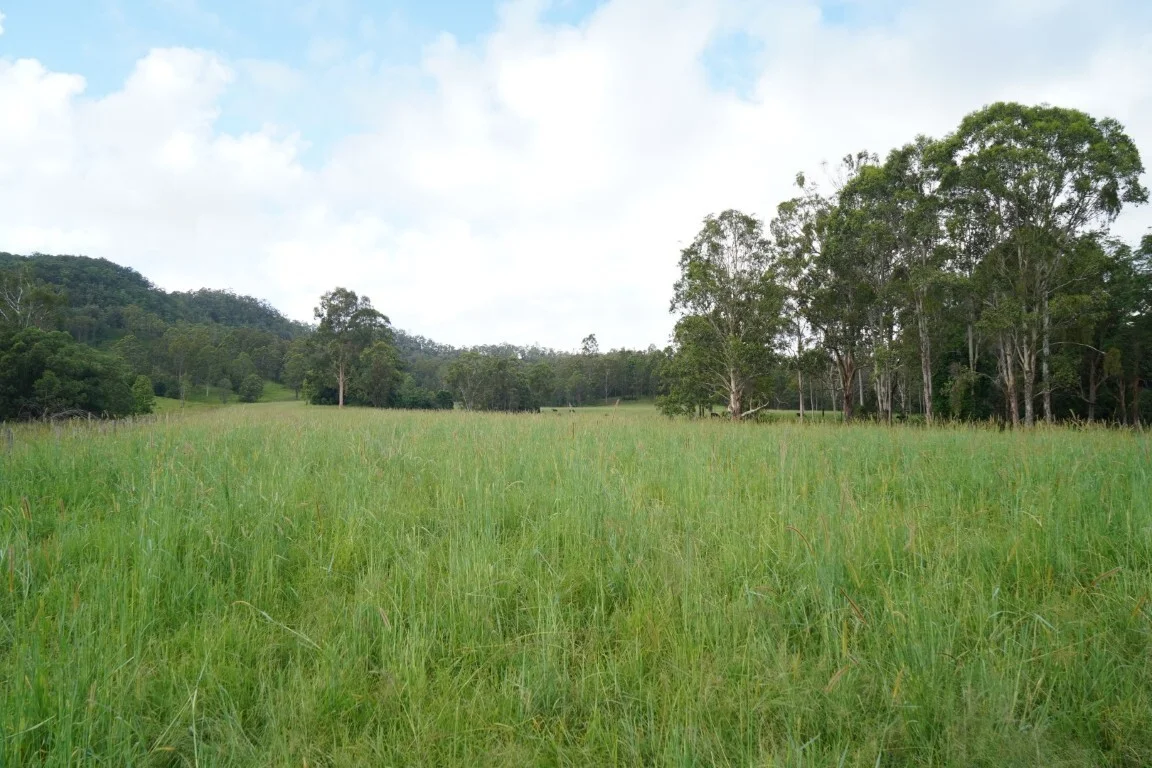 Additional image 34 of 1023 Iron Pot Creek Rd, Kyogle NSW 2474