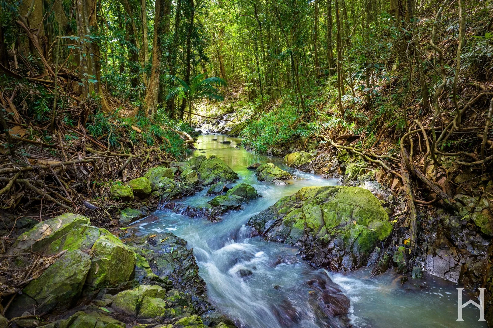 Additional image 27 of 7 Babbling Brook Place, Eumundi QLD 4562