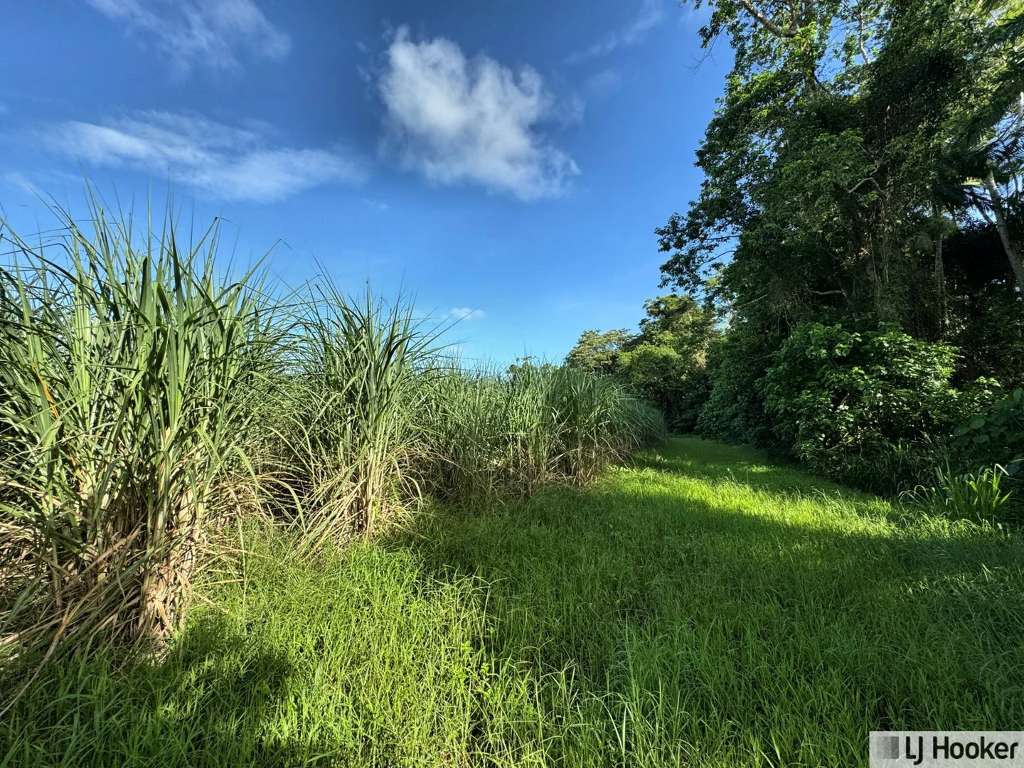 Additional image 6 of 328 Rockingham Road, Rockingham QLD 4854