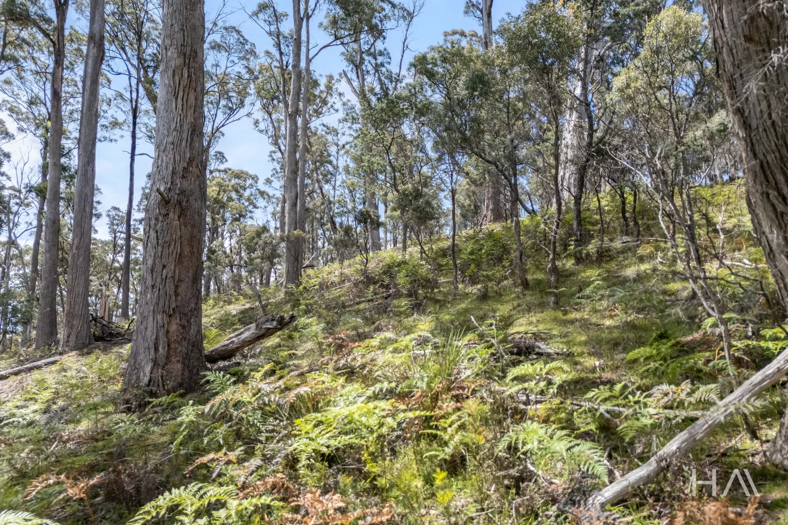 Additional image 11 of English Town Road, Deddington TAS 7212