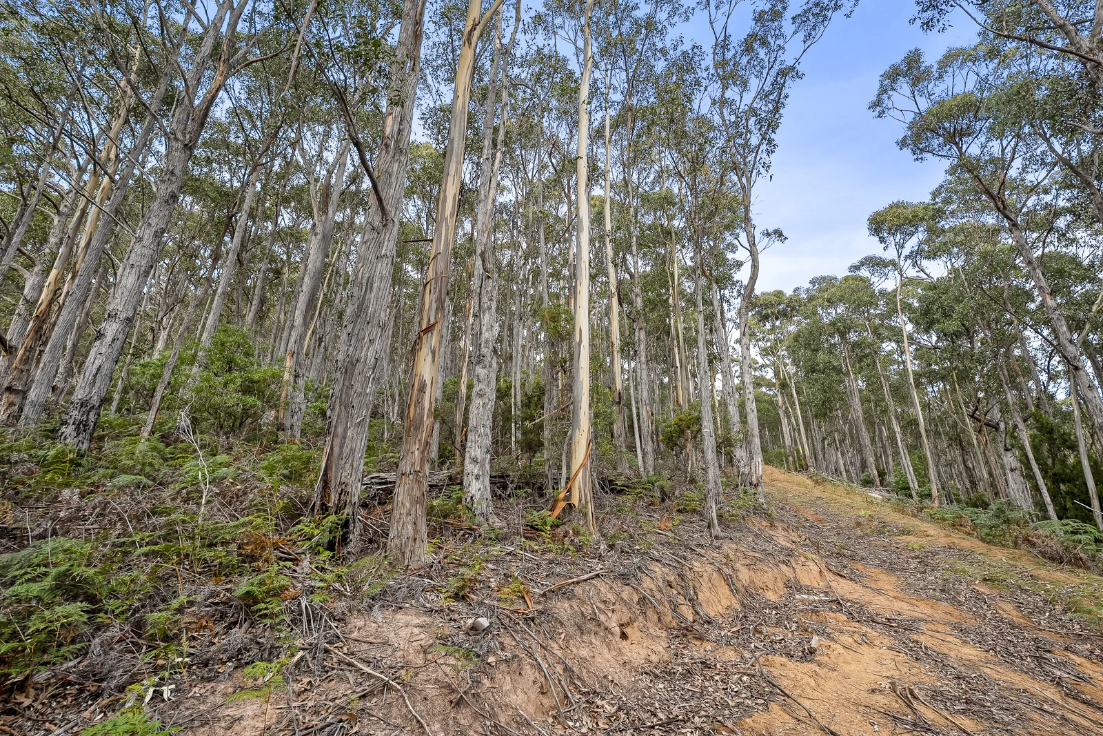 Additional image 13 of 35 Valley View Road, Margate TAS 7054