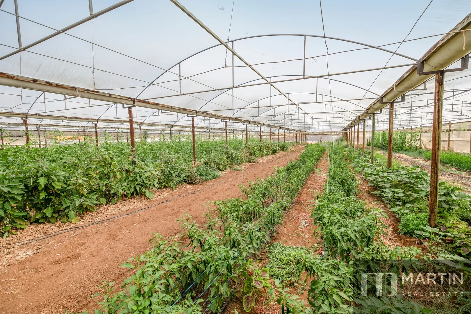 Additional image 34 of 460 Womma West Road, Penfield Gardens SA 5121