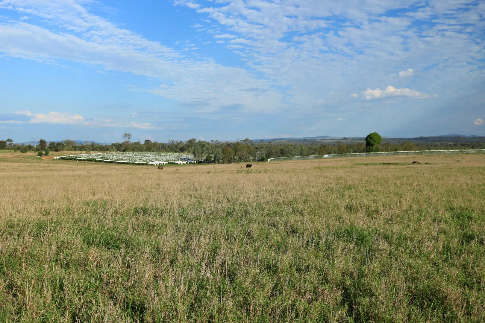 Additional image 9 of 700 Coonambula Road,, Riverleigh QLD 4626