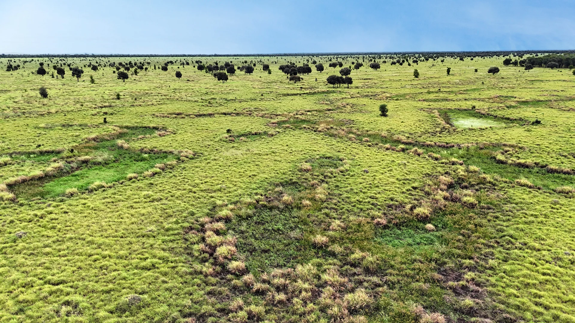 Additional image 7 of "Wavering Downs" 1467 Pasha Rd, Pasha QLD 4721