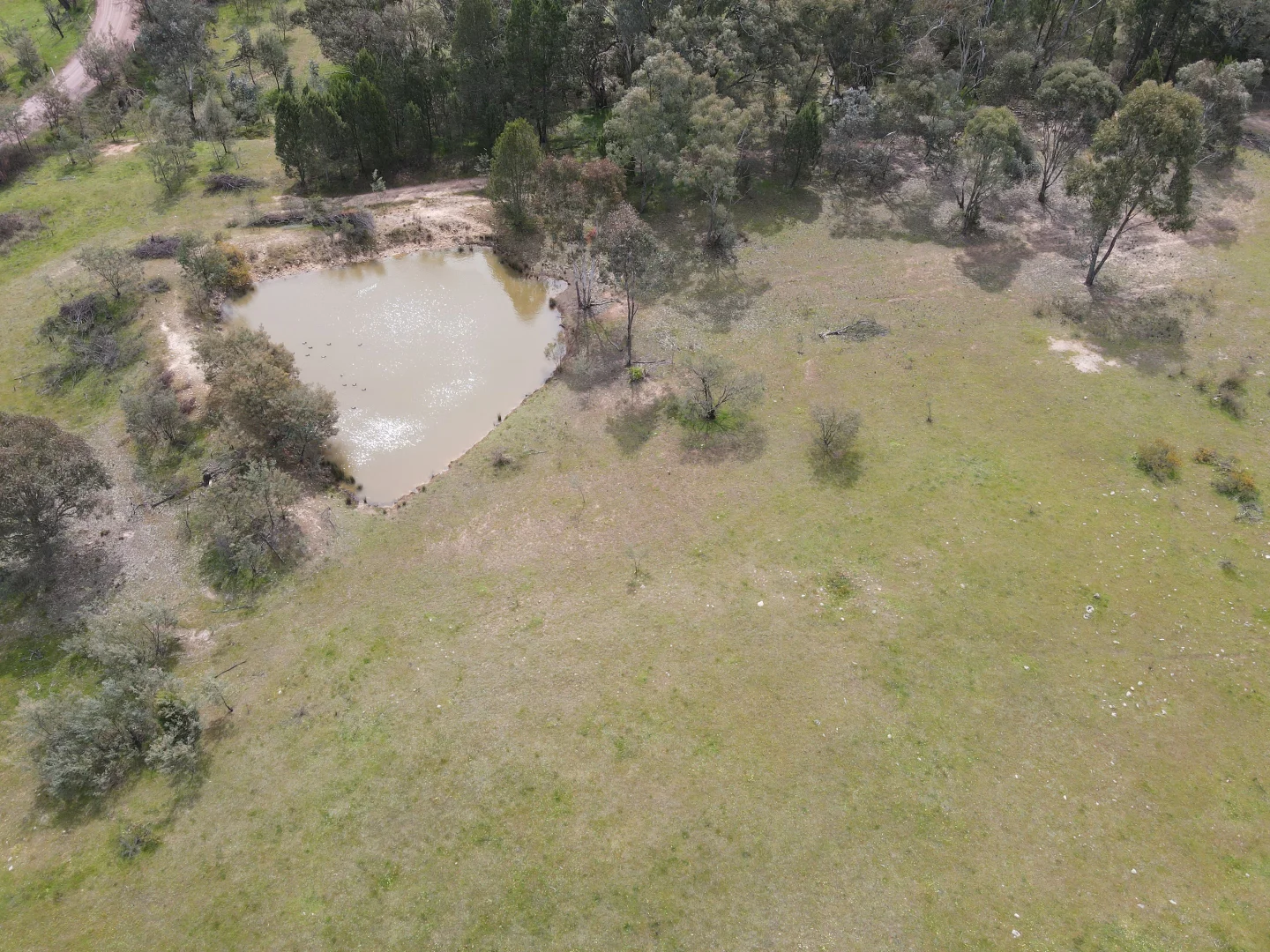 Additional image 25 of 1657 Kangarooby Road, Gooloogong NSW 2805