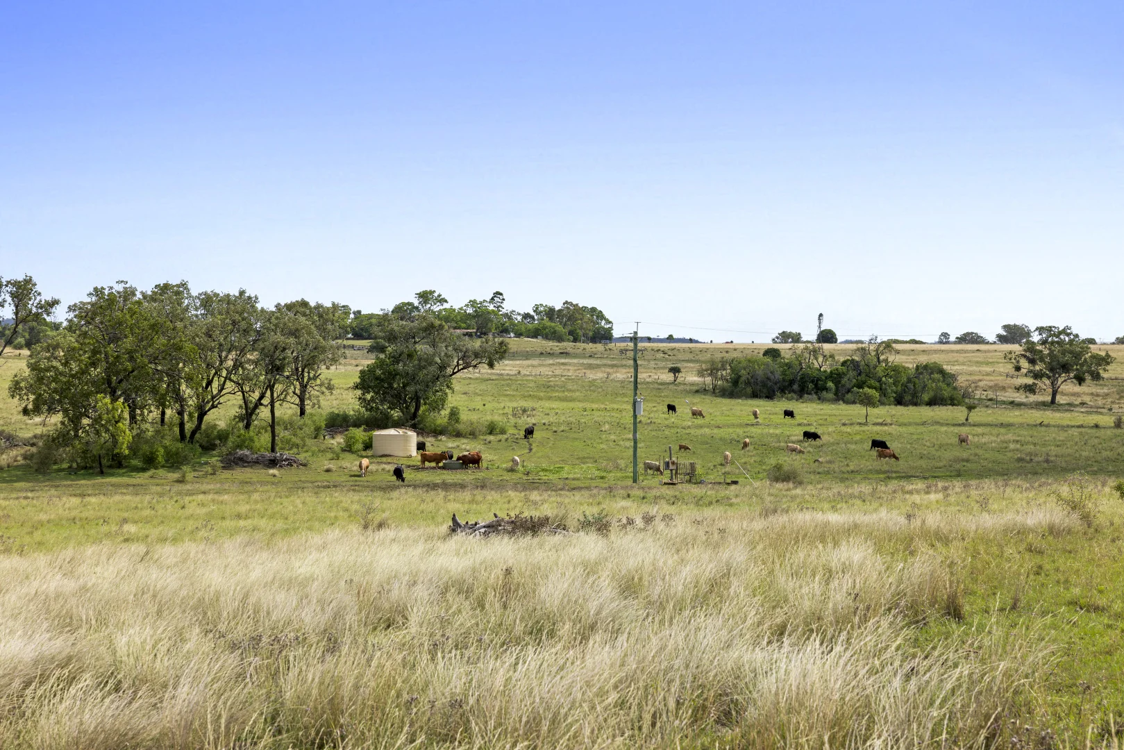 Additional image 12 of 2351 Toowoomba Cecil Plains Road, Aubigny QLD 4401