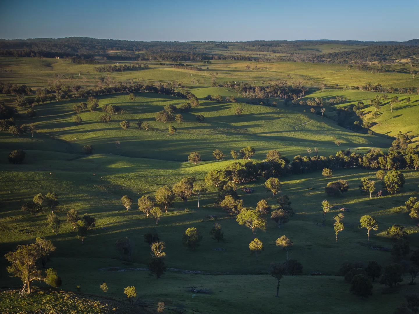 Additional image 29 of 338 Fishington Road, Wongwibinda NSW 2350