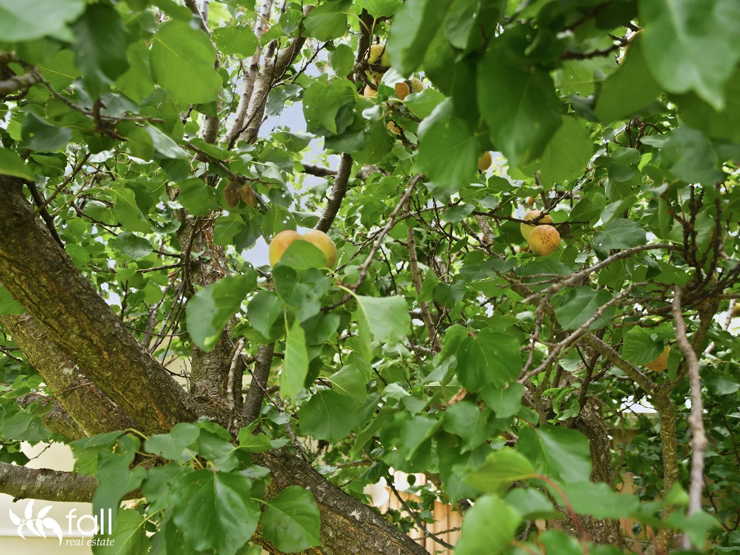 Additional image 24 of 22 Tasman Street, Port Arthur TAS 7182