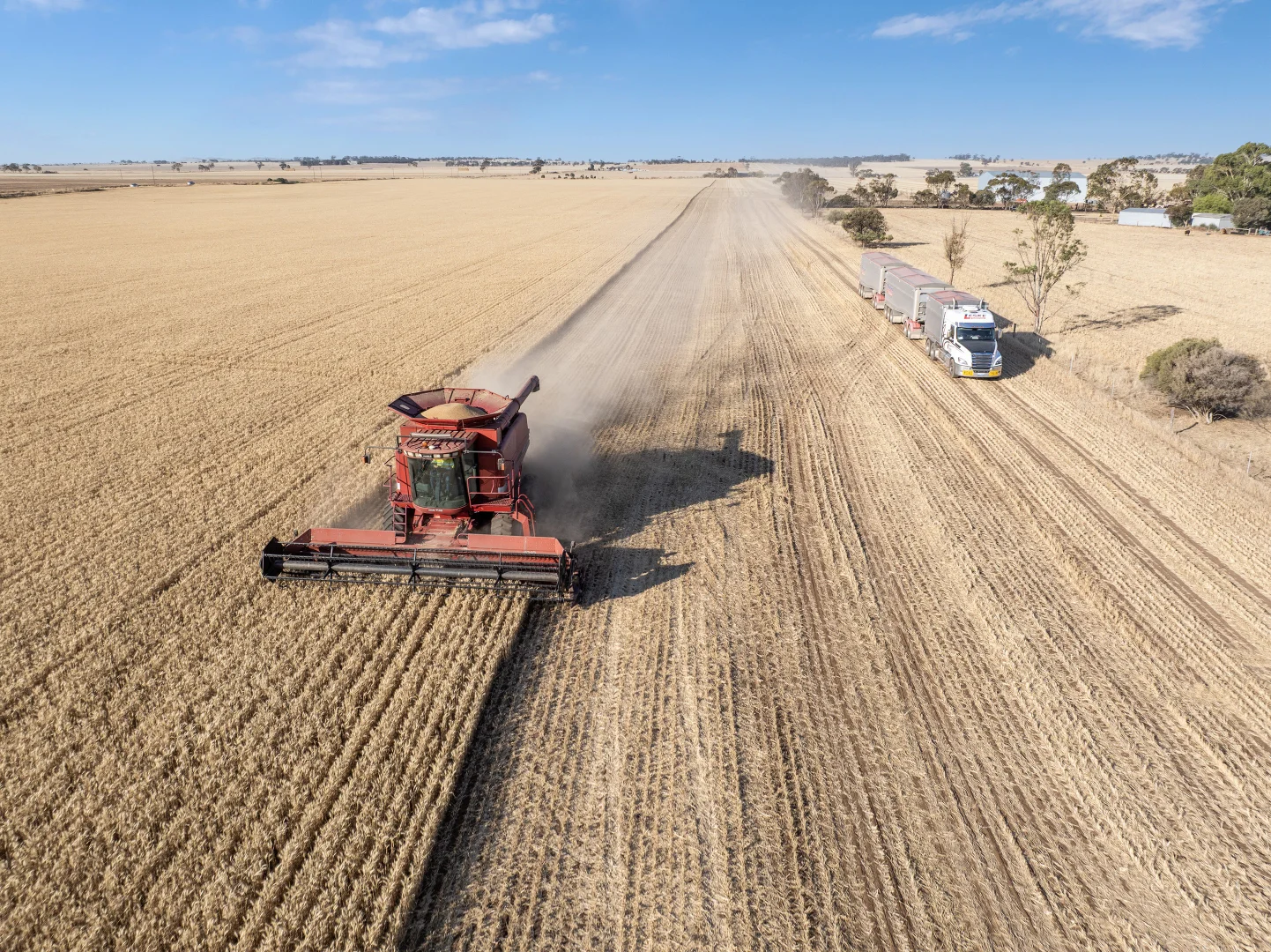 Additional image 2 of 'Leske Farm' Thiele Highway, Freeling SA 5372
