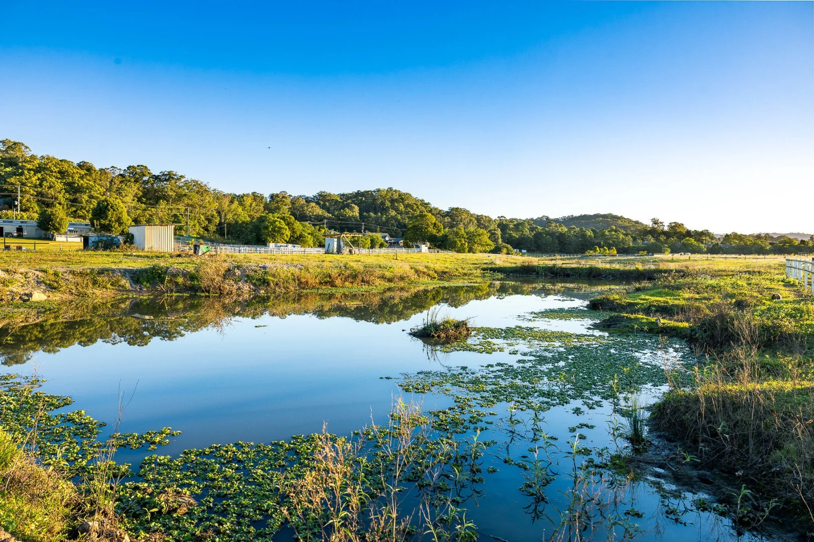 Additional image 12 of 163-187 Petrie Creek Road, Rosemount QLD 4560