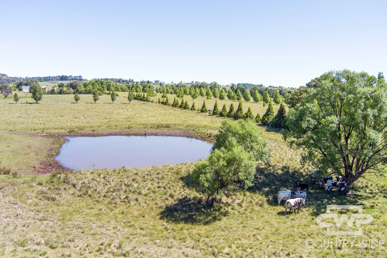 Additional image 31 of 74 East Pandora Road, Glen Innes NSW 2370