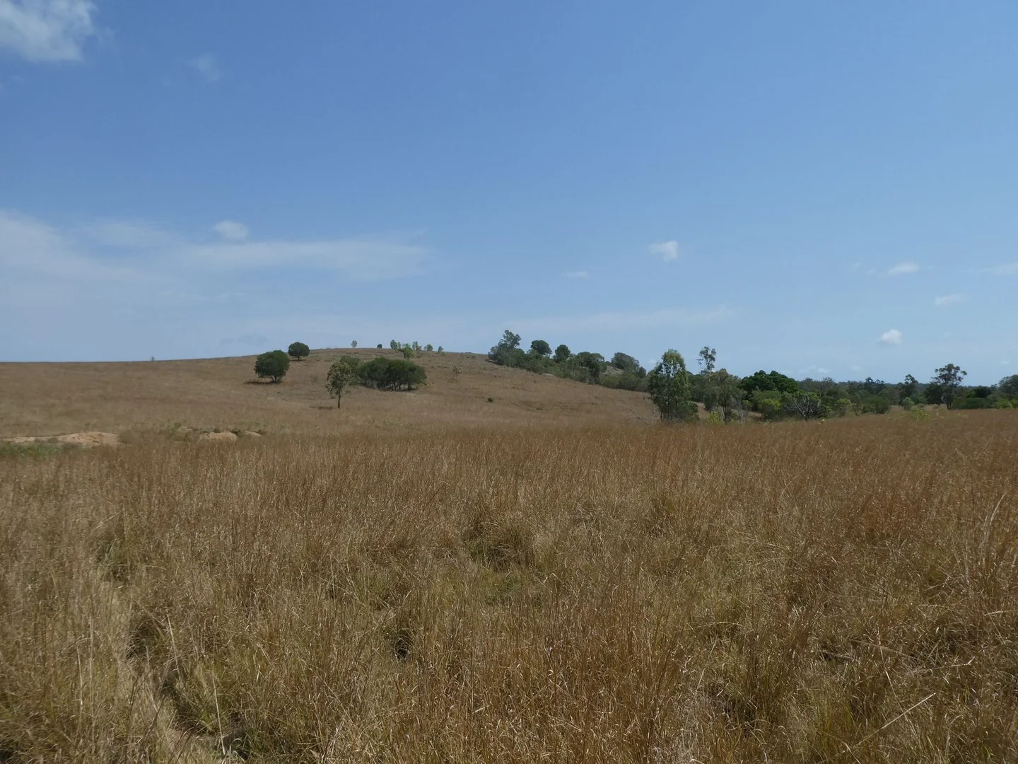 Additional image 9 of 35 Mahoneys Road, Bucca QLD 4670