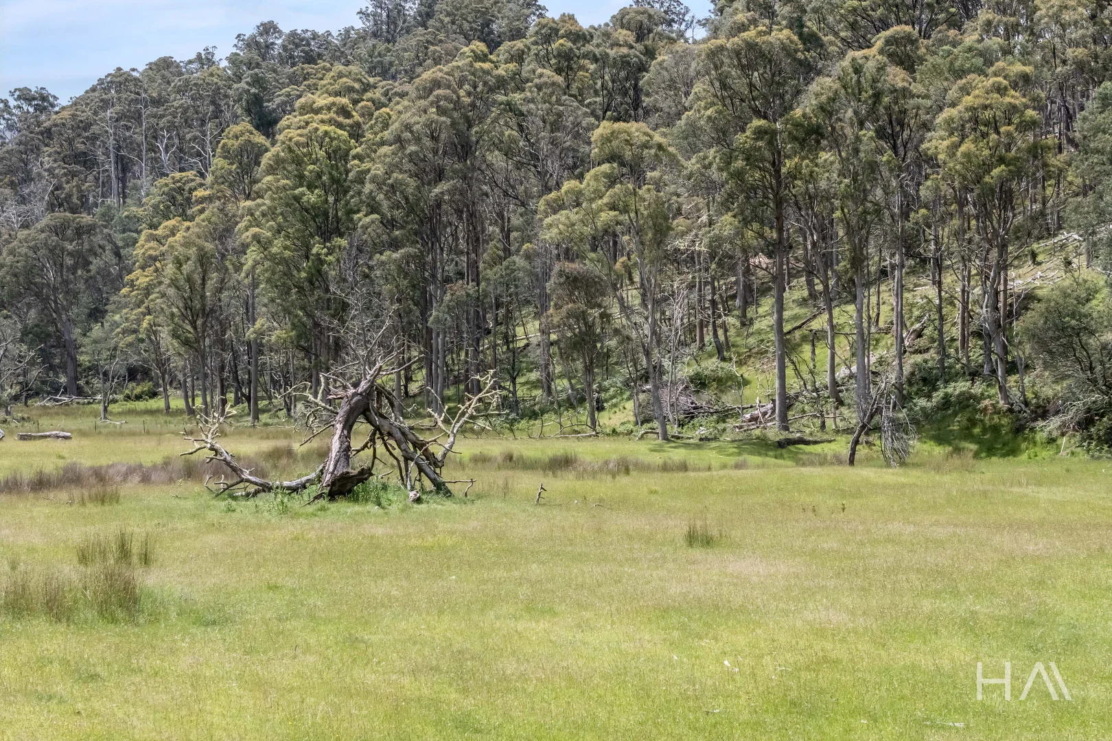 Additional image 3 of English Town Road, Deddington TAS 7212