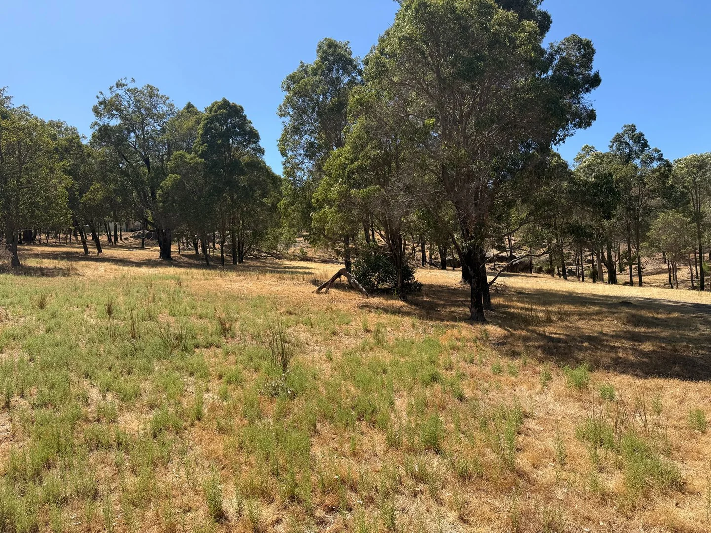 Additional image 8 of 59 Lyons Road, Waroona WA 6215