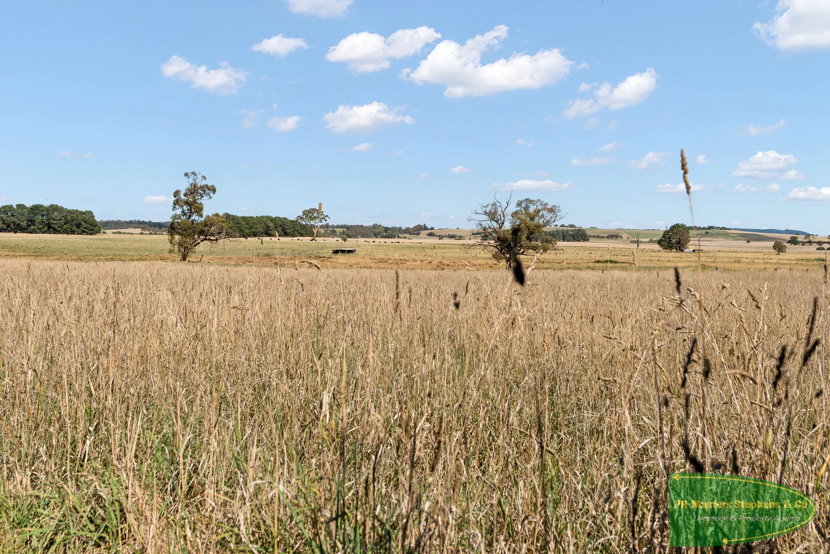 Additional image 16 of 1455 Hobbys Yards Road, Hobbys Yards NSW 2795