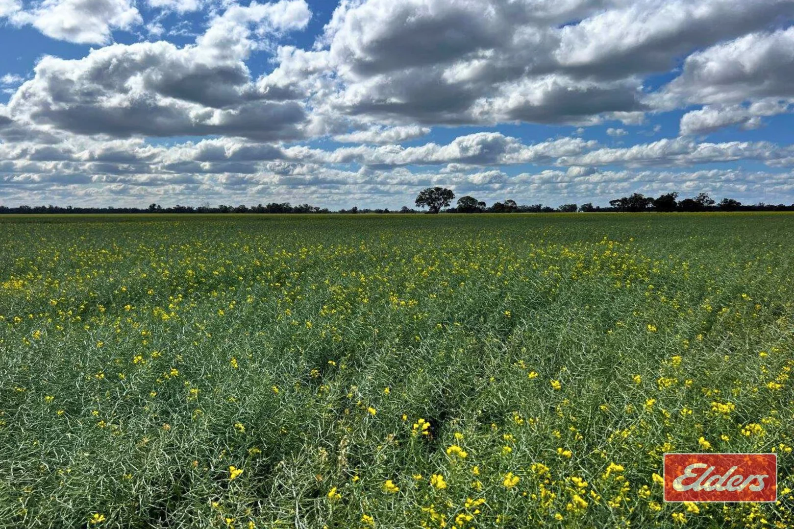 Additional image 10 of Perricoota, Bunnaloo NSW 2731