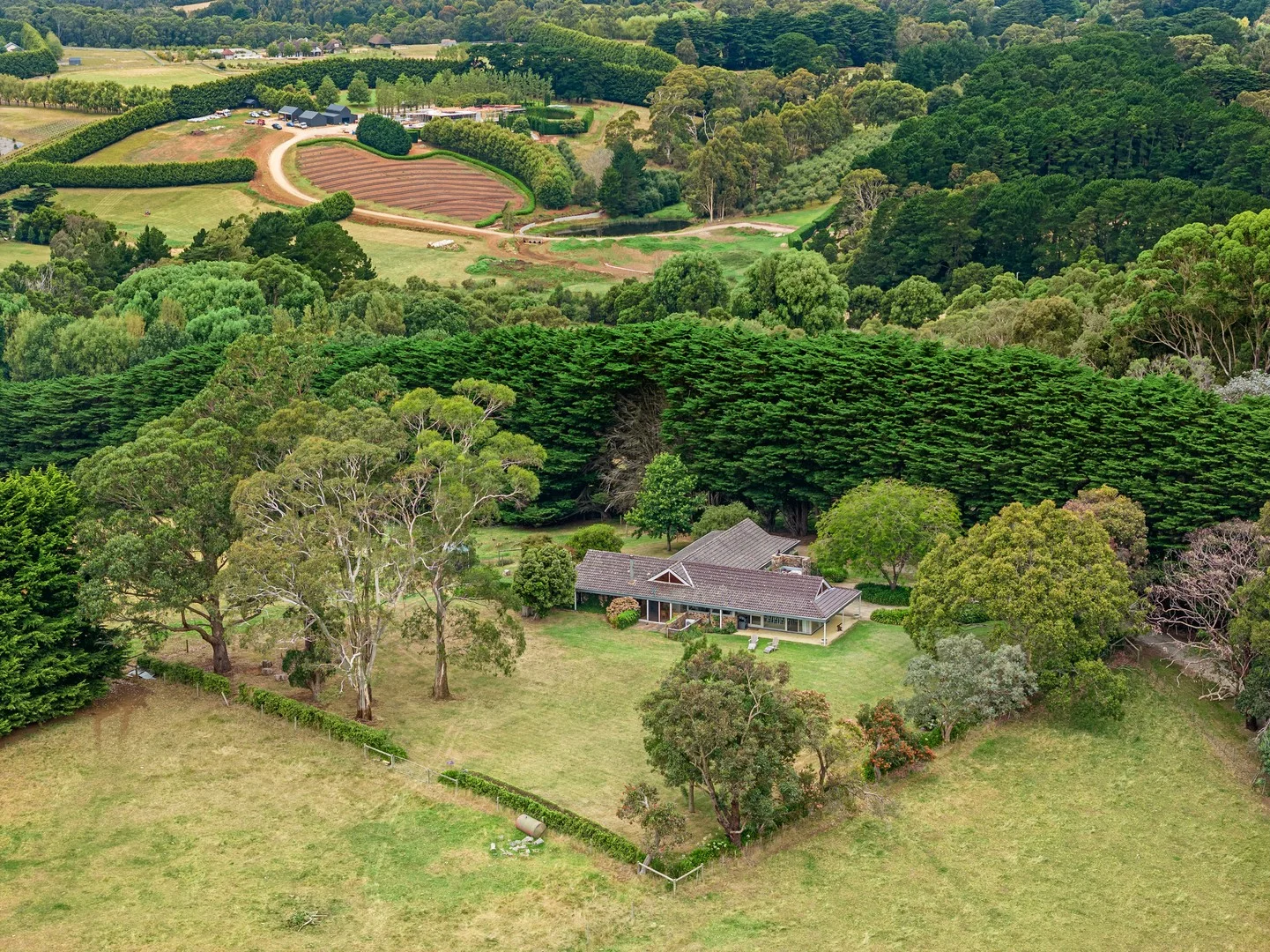 Additional image 4 of 350 Barkers Road, Main Ridge VIC 3928