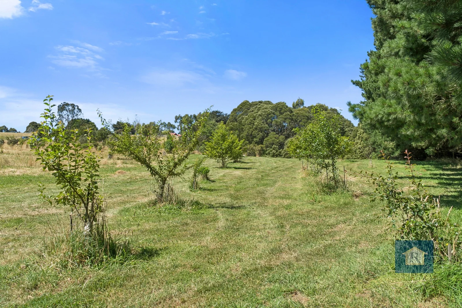 Additional image 17 of 22 Old Main Road, Beech Forest VIC 3237