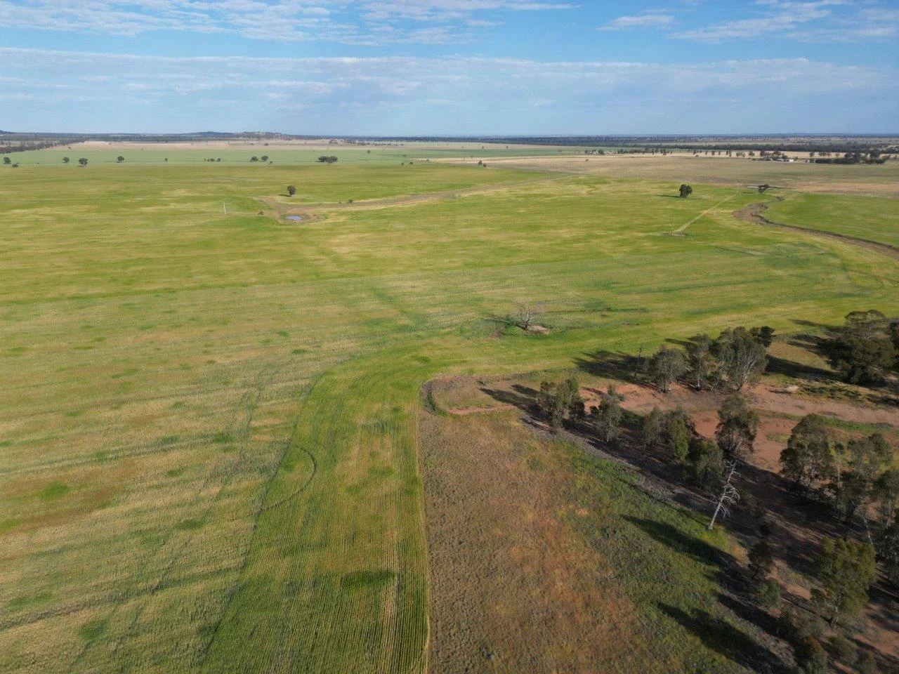 Additional image 12 of 'Cleveland' 548 Cunningtons Lane, West Wyalong NSW 2671