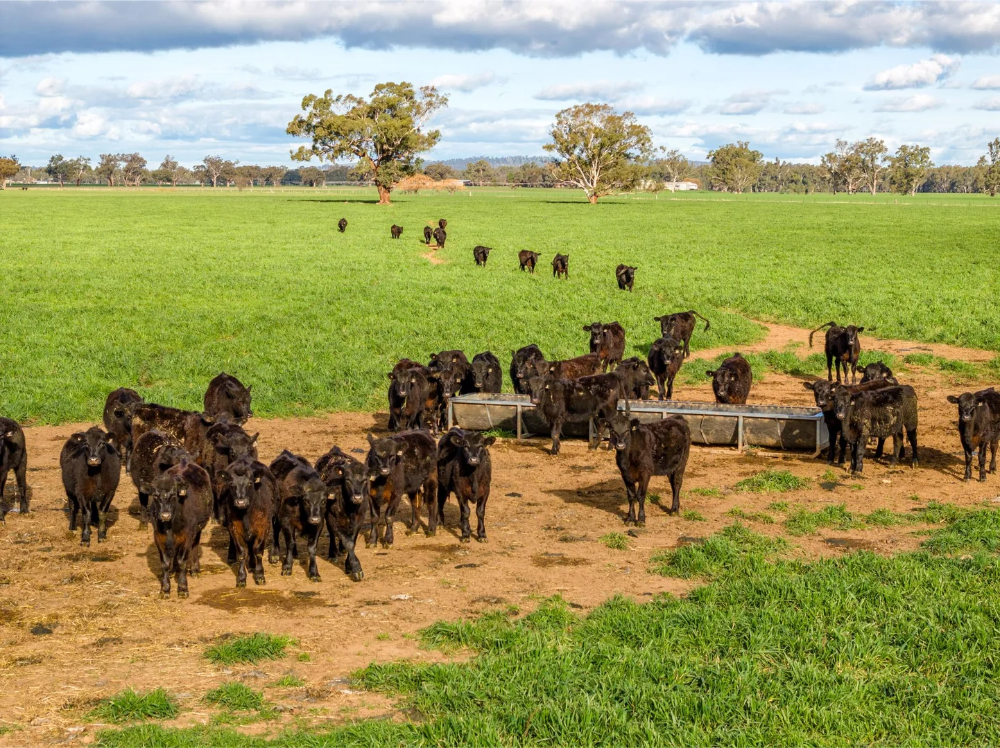 Additional image 4 of 1871 Old Narrandera Road, Euberta NSW 2650