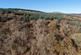 Additional image 8 of Kirnan Wood, Near Lochgilphead, Argyll & Bute  PA31